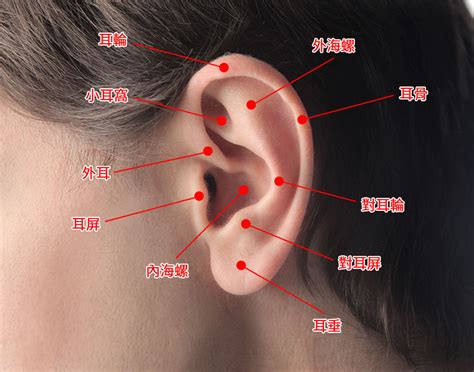 疼痛指數耳洞位置 電線桿有鬼國語線上看